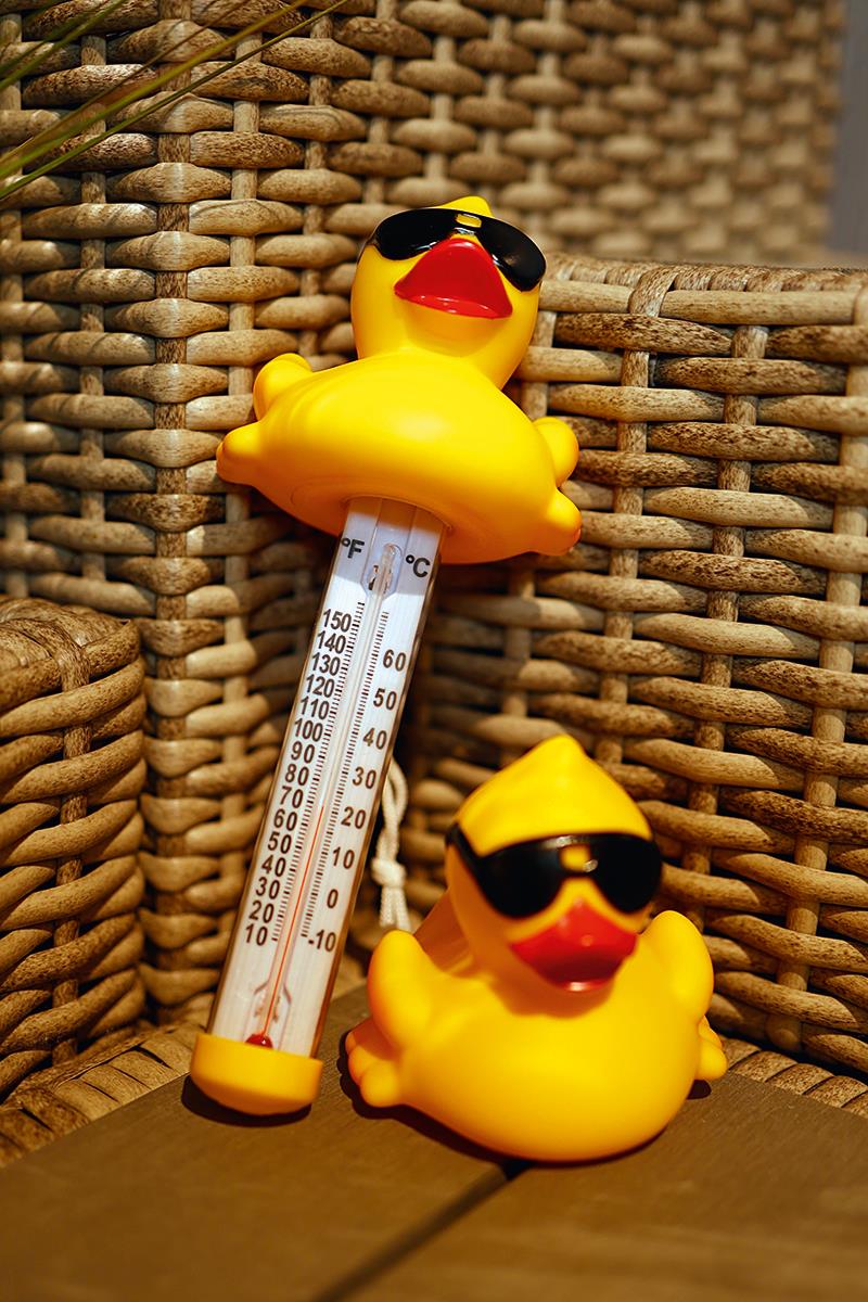 Badeente mit Sonnenbrille mit Gewicht - 8 x 8 x 7 cm